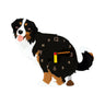 Bernese Mountain
