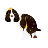 Brown Springer Spaniel