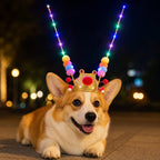 LED Light-Up Scholar Hat for Pets & Kids