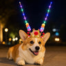 Light-Up