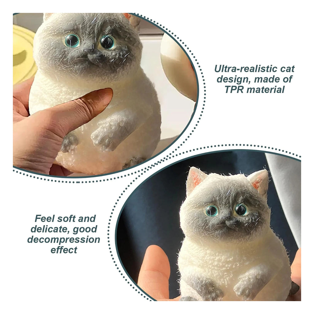 Realistic Cat Squishy - Stress Relief Toy