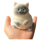 Realistic Cat Squishy - Stress Relief Toy